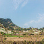 统景印盒李花生态旅游区