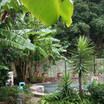 华宁象鼻温泉旅游文化度假区