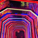 豫见樱桃沟秘境魔幻之旅