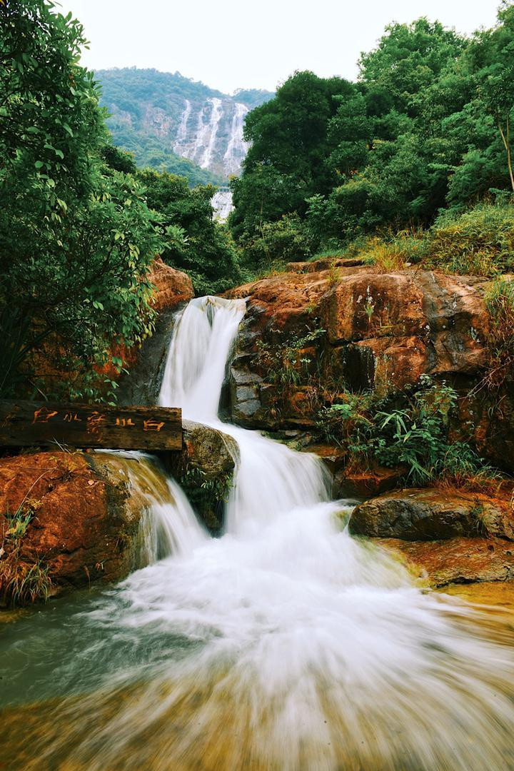 珠三角私藏秘境,乐享森林海度假好时光!