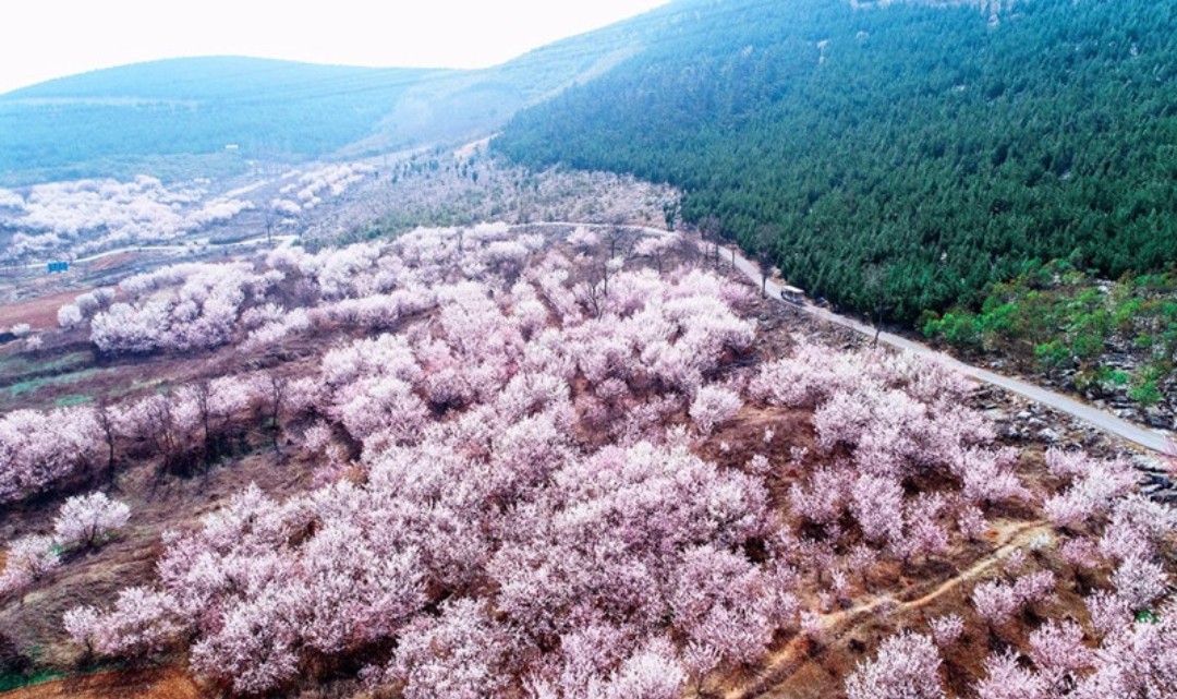 圣人窝樱桃谷景区
