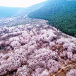 圣人窝樱桃谷景区