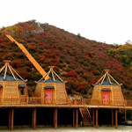 林胡古塞