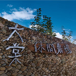 大棠滑草场