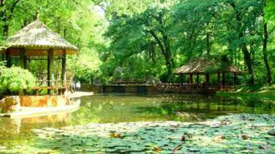 昆明市黑龙潭公园门票