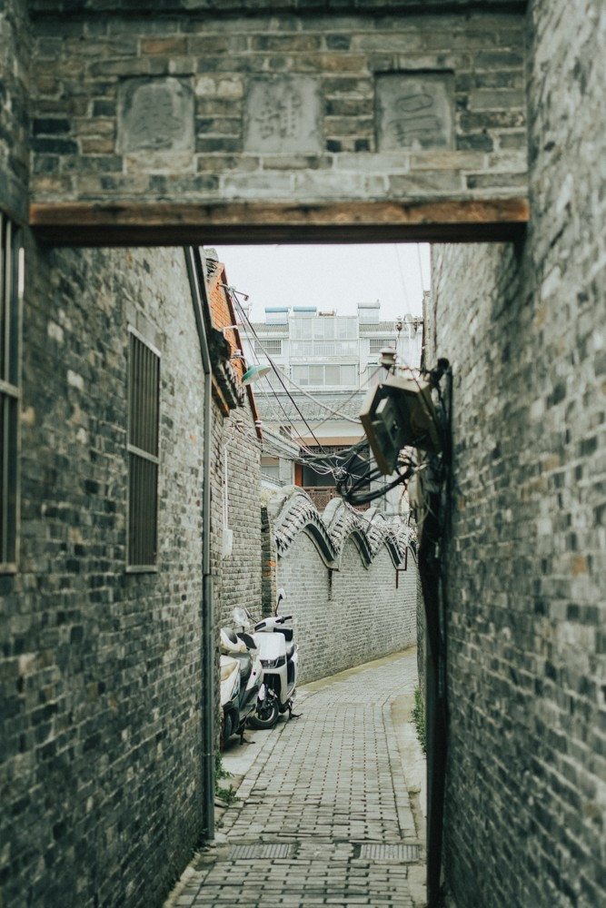 【兴化验客】不留遗憾!让兴化春天唤醒相机