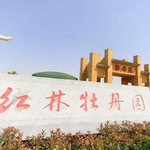 红林牡丹园