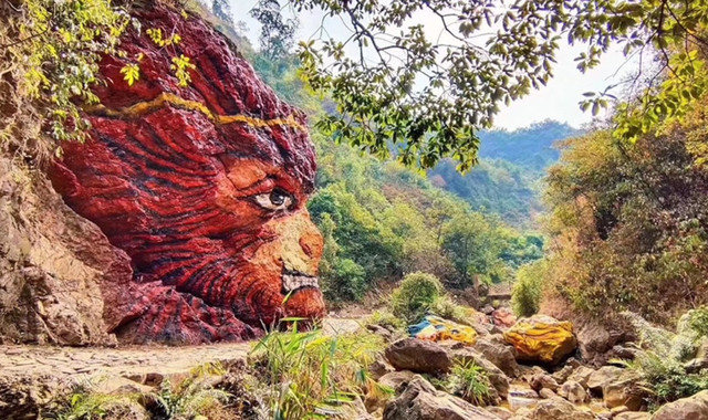 南海湾森林生态园