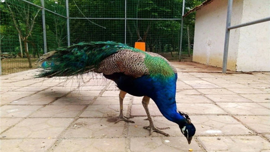 悦芽谷亲子乐园