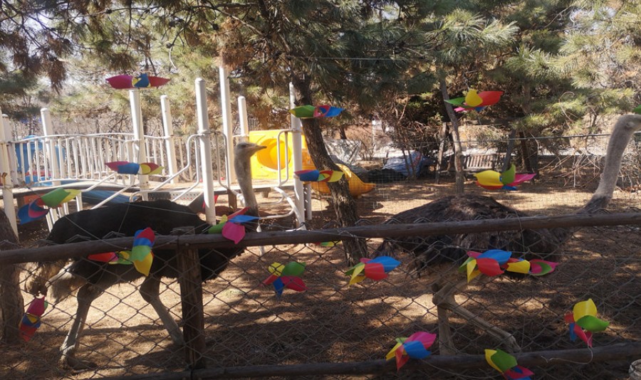 沈阳盛京荟亲子动物乐园