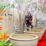 涟水百悦温泉酒店