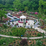 中山植物园