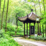 云栖竹径