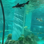 临汾海昌海洋探索馆