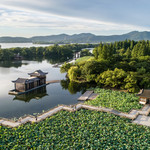 曲院风荷