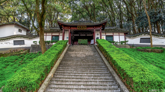 天马山公园门票