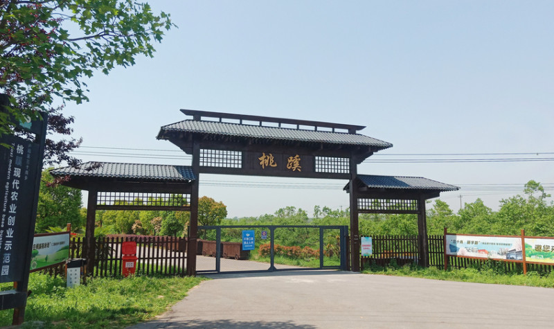 三十岗桃蹊农场