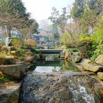 青芝坞