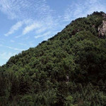 通天河国家森林公园