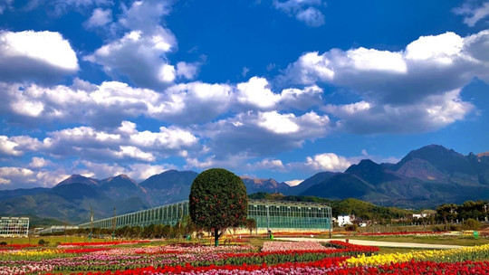 武功山花涧里现代农业观光园门票预订_武功山花涧里现代农业观光园门