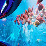 金华万泰海立方海洋公园