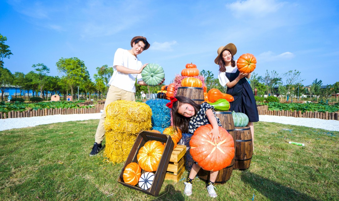 伊酷拉精灵农庄