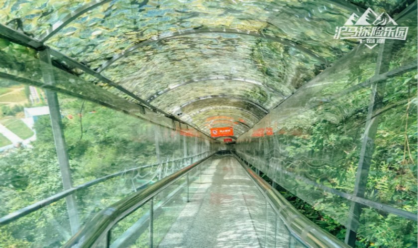千岛湖沪马探险乐园