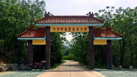 六里坪国家森林公园门票
