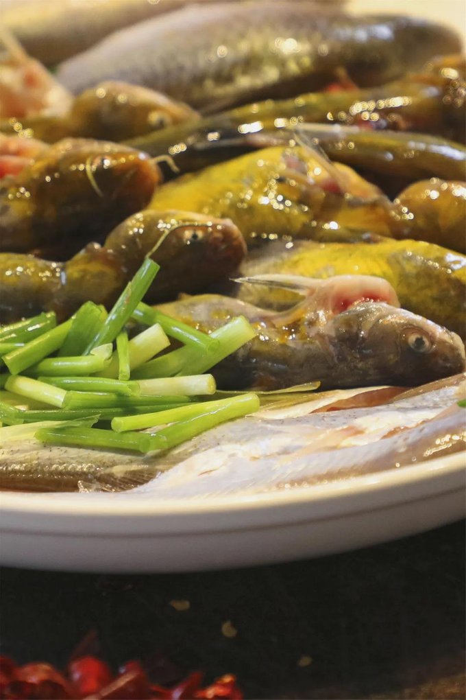 寻味｜鲜活夏日，周庄“鱼”你有约 - 苏州游记攻略【同程旅游攻略】