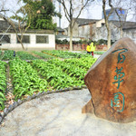 百草园