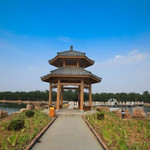 夏津县黄河故道森林公园颐寿园