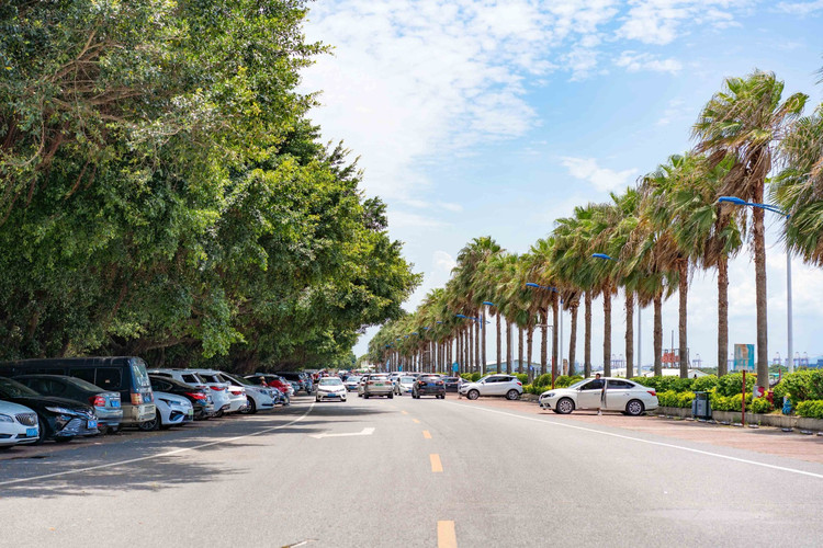 【南沙验客】再遇南沙,感受它的万种风情