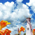 牙象大地艺术公园