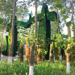 一马树森林公园