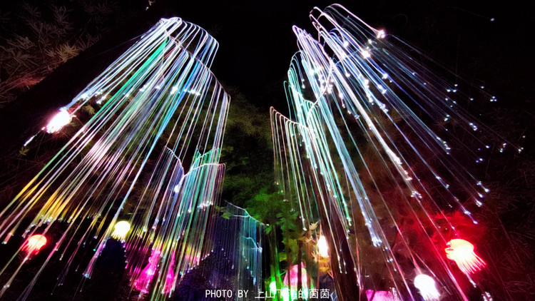 森林漂流 森境光影,今年森波拉玩法升级!