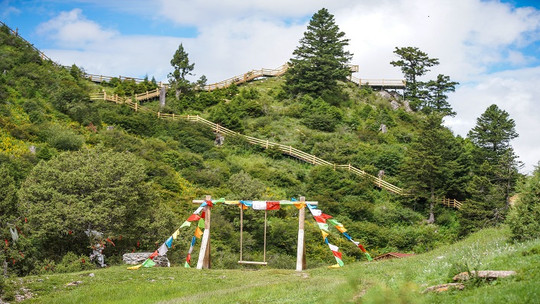 若尔盖河它温泉谷门票