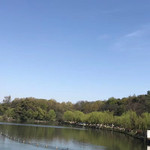 孤山公园