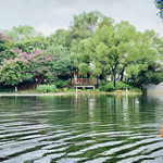 荔湾湖公园