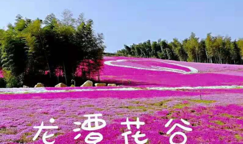 同程首页 景区门票 江苏景区门票 常州景区门票 > 龙潭花谷门票及相关