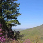 清河林业局悬羊岭风景区