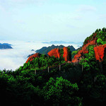 中雁荡山