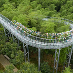 安吉野乐园景区
