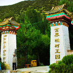 世界柏树王园林