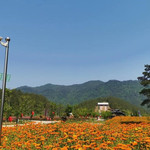 蝶恋花景区