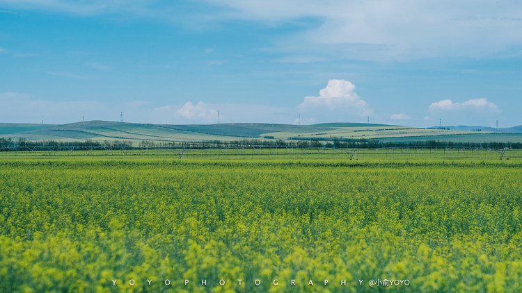 【呼伦贝尔验客】呼伦贝尔不止有青青草原