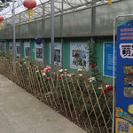 悠移庄园萌宠乐园
