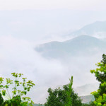 金粟山森林公园