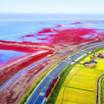 红海滩国家风景廊道