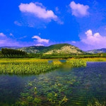 平阴洪范池景区
