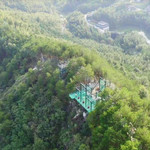 天柱山魔幻森林